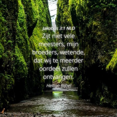 Picture 04 - Jakobus 3:1 NLD - Zijt niet vele meesters, mijn broeders, wetende, - Bible Verse Picture