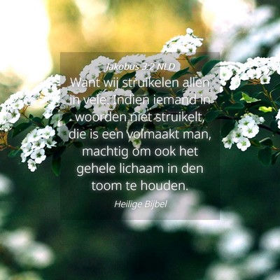 Picture 04 - Jakobus 3:2 NLD - Want wij struikelen allen in vele. Indien iemand - Bible Verse Picture