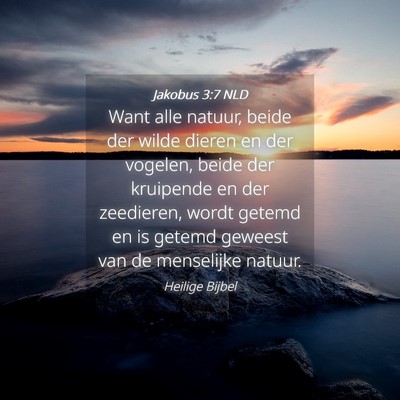 Picture 04 - Jakobus 3:7 NLD - Want alle natuur, beide der wilde dieren en der - Bible Verse Picture