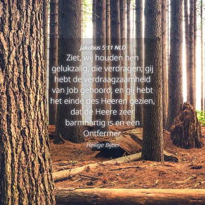 Picture 04 - Jakobus 5:11 NLD - Ziet, wij houden hen gelukzalig, die verdragen; - Bible Verse Picture