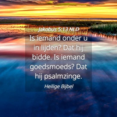 Picture 04 - Jakobus 5:13 NLD - Is iemand onder u in lijden? Dat hij bidde. Is - Bible Verse Picture