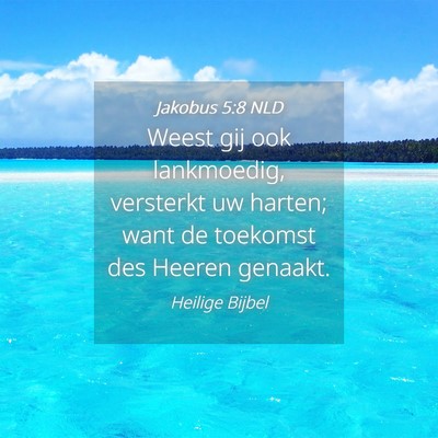 Picture 04 - Jakobus 5:8 NLD - Weest gij ook lankmoedig, versterkt uw harten; - Bible Verse Picture