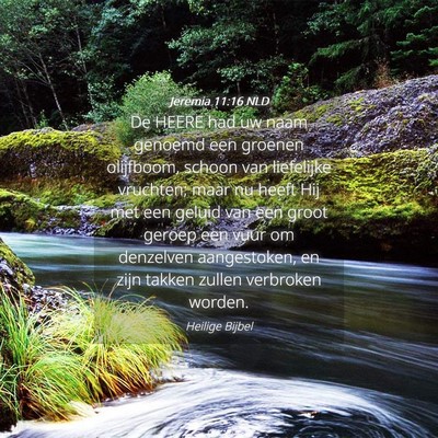 Picture 04 - Jeremia 11:16 NLD - De HEERE had uw naam genoemd een groenen - Bible Verse Picture