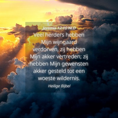 Picture 04 - Jeremia 12:10 NLD - Veel herders hebben Mijn wijngaard verdorven, zij - Bible Verse Picture