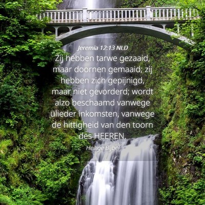 Picture 04 - Jeremia 12:13 NLD - Zij hebben tarwe gezaaid, maar doornen gemaaid; - Bible Verse Picture