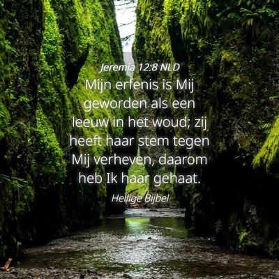 Picture 04 - Jeremia 12:8 NLD - Mijn erfenis is Mij geworden als een leeuw in het - Bible Verse Picture