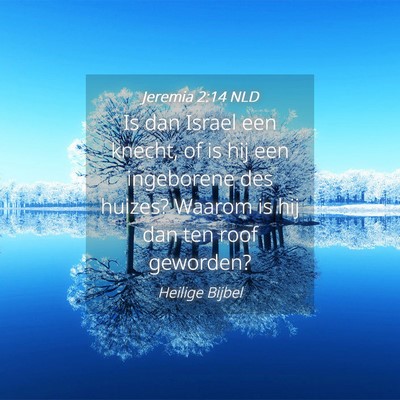 Picture 04 - Jeremia 2:14 NLD - Is dan Israel een knecht, of is hij een - Bible Verse Picture