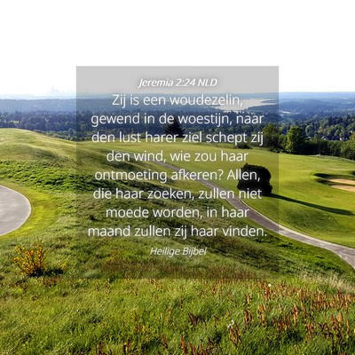 Picture 04 - Jeremia 2:24 NLD - Zij is een woudezelin, gewend in de woestijn, - Bible Verse Picture
