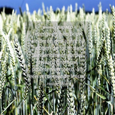 Picture 04 - Jeremia 2:30 NLD - Tevergeefs heb Ik uw kinderen geslagen; zij - Bible Verse Picture