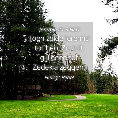 Picture 04 - Jeremia 21:3 NLD - Toen zeide Jeremia tot hen: Zo zult gijlieden tot - Bible Verse Picture