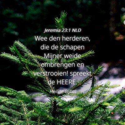 Picture 04 - Jeremia 23:1 NLD - Wee den herderen, die de schapen Mijner weide - Bible Verse Picture
