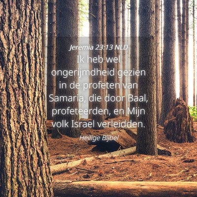 Picture 04 - Jeremia 23:13 NLD - Ik heb wel ongerijmdheid gezien in de profeten - Bible Verse Picture