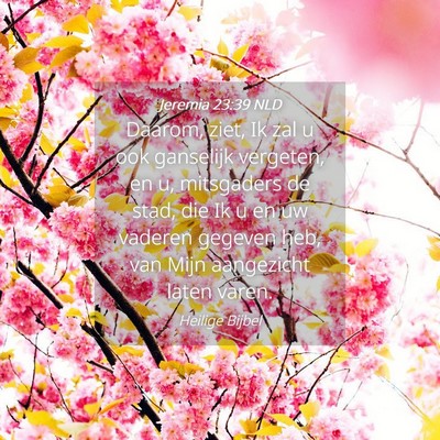 Picture 04 - Jeremia 23:39 NLD - Daarom, ziet, Ik zal u ook ganselijk vergeten, en - Bible Verse Picture