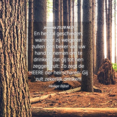 Picture 04 - Jeremia 25:28 NLD - En het zal geschieden, wanneer zij weigeren - Bible Verse Picture