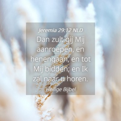 Picture 04 - Jeremia 29:12 NLD - Dan zult gij Mij aanroepen, en henengaan, en tot - Bible Verse Picture