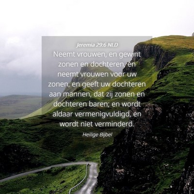 Picture 04 - Jeremia 29:6 NLD - Neemt vrouwen, en gewint zonen en dochteren, en - Bible Verse Picture