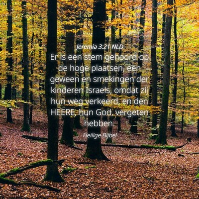 Picture 04 - Jeremia 3:21 NLD - Er is een stem gehoord op de hoge plaatsen, een - Bible Verse Picture
