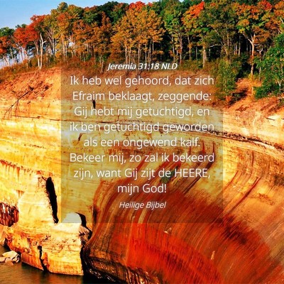 Picture 04 - Jeremia 31:18 NLD - Ik heb wel gehoord, dat zich Efraim beklaagt, - Bible Verse Picture
