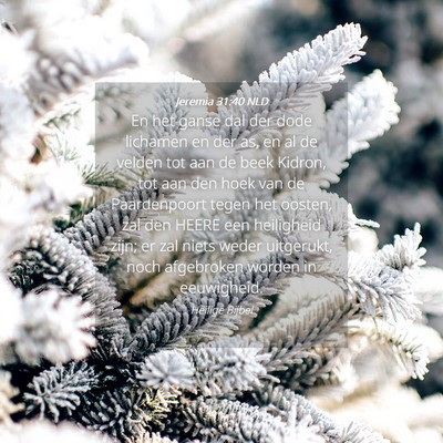 Picture 04 - Jeremia 31:40 NLD - En het ganse dal der dode lichamen en der as, en - Bible Verse Picture