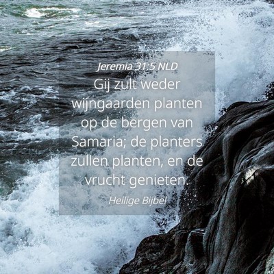 Picture 04 - Jeremia 31:5 NLD - Gij zult weder wijngaarden planten op de bergen - Bible Verse Picture