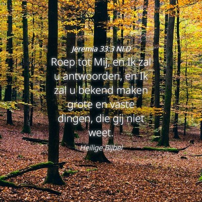 Picture 04 - Jeremia 33:3 NLD - Roep tot Mij, en Ik zal u antwoorden, en Ik zal u - Bible Verse Picture