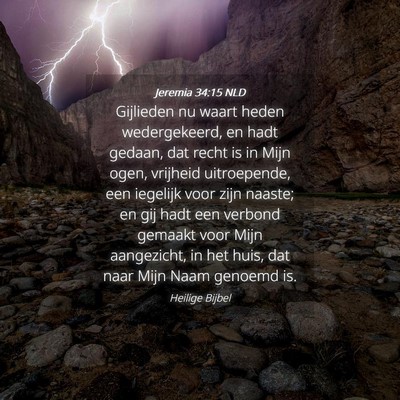 Picture 04 - Jeremia 34:15 NLD - Gijlieden nu waart heden wedergekeerd, en hadt - Bible Verse Picture