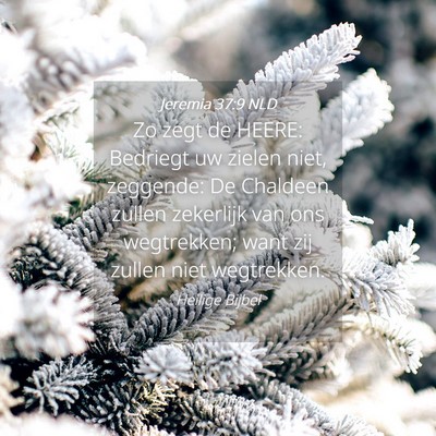 Picture 04 - Jeremia 37:9 NLD - Zo zegt de HEERE: Bedriegt uw zielen niet, - Bible Verse Picture