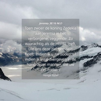 Picture 04 - Jeremia 38:16 NLD - Toen zwoer de koning Zedekia aan Jeremia in het - Bible Verse Picture