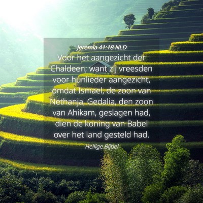 Picture 04 - Jeremia 41:18 NLD - Voor het aangezicht der Chaldeen; want zij - Bible Verse Picture
