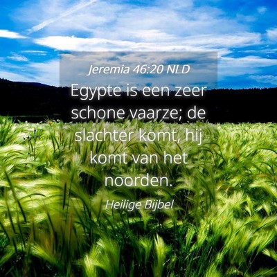 Picture 04 - Jeremia 46:20 NLD - Egypte is een zeer schone vaarze; de slachter - Bible Verse Picture