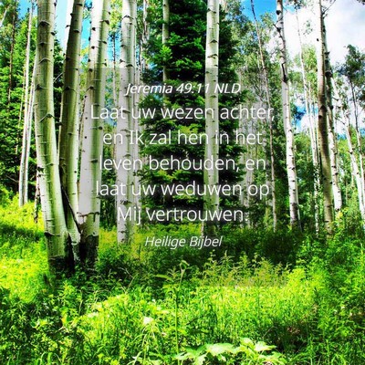 Picture 04 - Jeremia 49:11 NLD - Laat uw wezen achter, en Ik zal hen in het leven - Bible Verse Picture