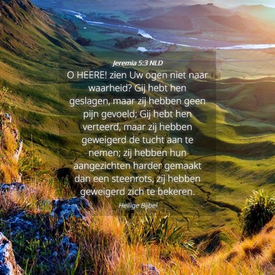 Picture 04 - Jeremia 5:3 NLD - O HEERE! zien Uw ogen niet naar waarheid? Gij - Bible Verse Picture