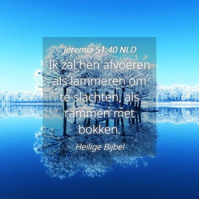 Picture 04 - Jeremia 51:40 NLD - Ik zal hen afvoeren als lammeren om te slachten, - Bible Verse Picture