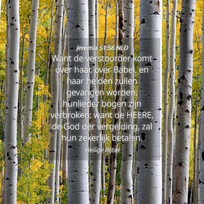 Picture 04 - Jeremia 51:56 NLD - Want de verstoorder komt over haar, over Babel, - Bible Verse Picture