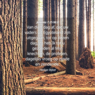 Picture 04 - Jeremia 7:25 NLD - Van dien dag af, dat uw vaders uit Egypteland - Bible Verse Picture