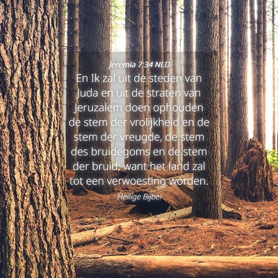 Picture 04 - Jeremia 7:34 NLD - En Ik zal uit de steden van Juda en uit de - Bible Verse Picture