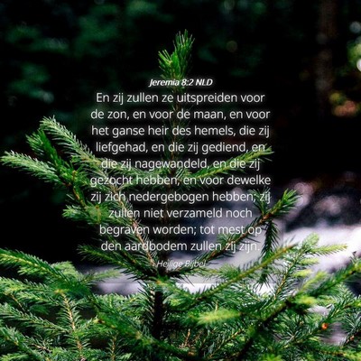 Picture 04 - Jeremia 8:2 NLD - En zij zullen ze uitspreiden voor de zon, en voor - Bible Verse Picture