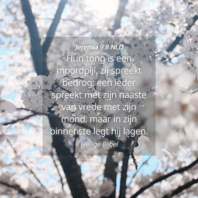 Picture 04 - Jeremia 9:8 NLD - Hun tong is een moordpijl, zij spreekt bedrog; - Bible Verse Picture