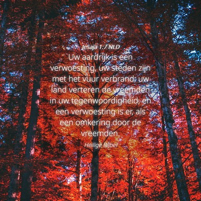Picture 04 - Jesaja 1:7 NLD - Uw aardrijk is een verwoesting, uw steden zijn - Bible Verse Picture