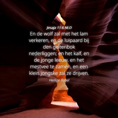 Picture 04 - Jesaja 11:6 NLD - En de wolf zal met het lam verkeren, en de - Bible Verse Picture
