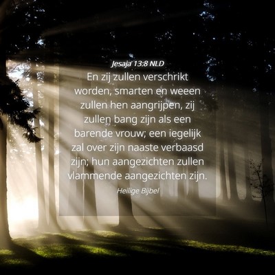 Picture 04 - Jesaja 13:8 NLD - En zij zullen verschrikt worden, smarten en weeen - Bible Verse Picture