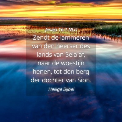 Picture 04 - Jesaja 16:1 NLD - Zendt de lammeren van den heerser des lands van - Bible Verse Picture