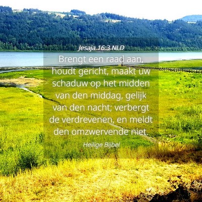 Picture 04 - Jesaja 16:3 NLD - Brengt een raad aan, houdt gericht, maakt uw - Bible Verse Picture