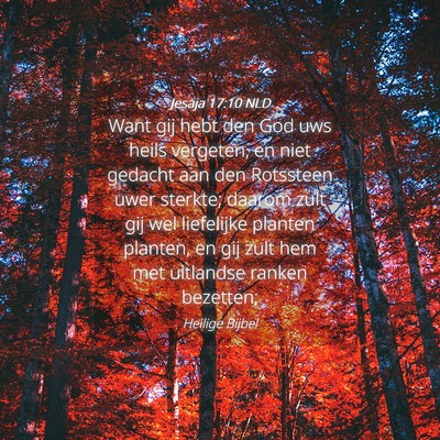 Picture 04 - Jesaja 17:10 NLD - Want gij hebt den God uws heils vergeten, en niet - Bible Verse Picture