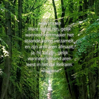 Picture 04 - Jesaja 17:5 NLD - Want hij zal zijn, gelijk wanneer een maaier het - Bible Verse Picture