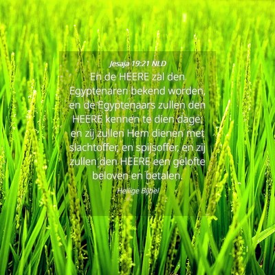 Picture 04 - Jesaja 19:21 NLD - En de HEERE zal den Egyptenaren bekend worden, en - Bible Verse Picture