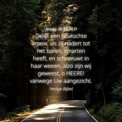 Picture 04 - Jesaja 26:17 NLD - Gelijk een bevruchte vrouw, als zij nadert tot - Bible Verse Picture