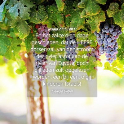 Picture 04 - Jesaja 27:12 NLD - En het zal te dien dage geschieden, dat de HEERE - Bible Verse Picture