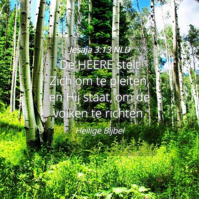 Picture 04 - Jesaja 3:13 NLD - De HEERE stelt Zich om te pleiten, en Hij staat, - Bible Verse Picture