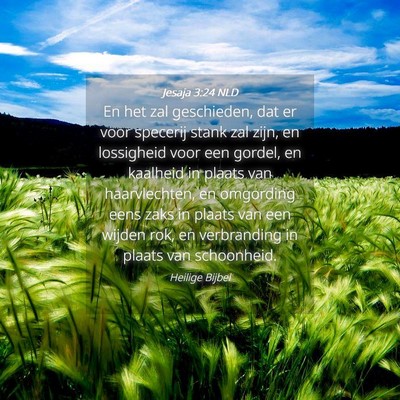Picture 04 - Jesaja 3:24 NLD - En het zal geschieden, dat er voor specerij stank - Bible Verse Picture